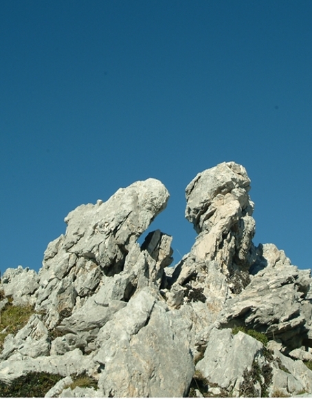 Sculture naturali